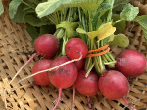 Richwood Farmers  Market starts season