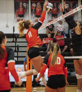 Lady Cat spikers topple visiting Bellefontaine