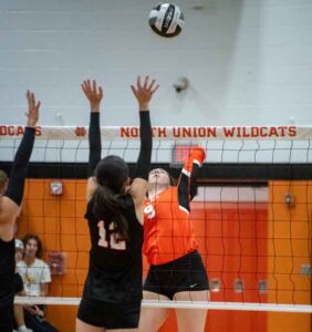 Lady Cats come up short against Indian Lake