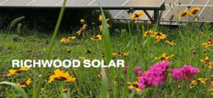 Solar reps answer questions in Taylor Twp.