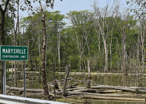Townships file for Mill Creek logjam clearing