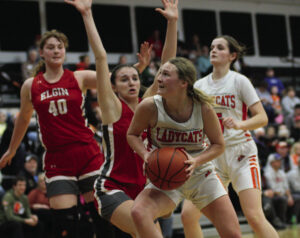 Lady Cats secure third straight CBC title;  NU’s Benedict claims 1,000 career points