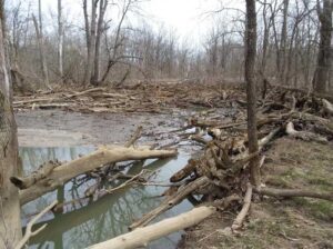 City and county split of logjam fees set