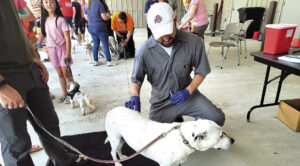 Rabies shot clinics scheduled