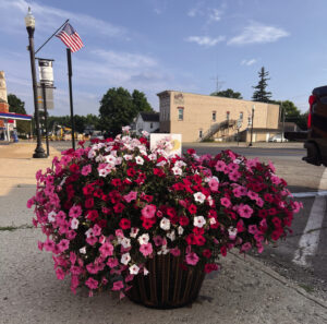 Flowerpots bloom again with expanded community support