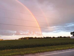 Route 4 Rainbows