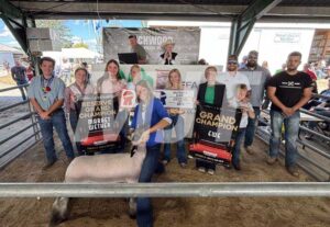 Reserve champion wether lamb crushes Richwood Fair record