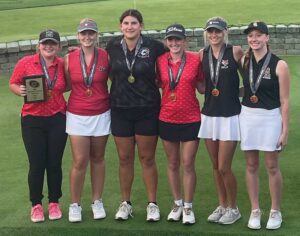 Lady Cat claims First-Team honors