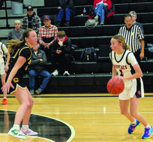 Lady Cats defeat Shawnee, fall to Hillsboro in weekend saga