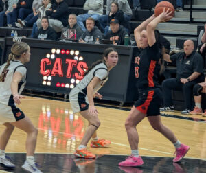 Lady Cats strong season comes to a close foll...