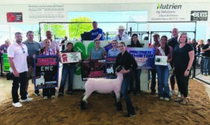 2026 Richwood Fair results continued