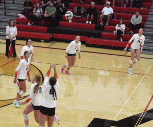 NU Lady Cats drop tough volleyball battle to Jonathan Alder Pioneers